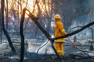 Crib Point Fire 2 058 